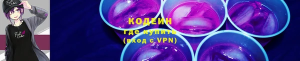 мдпв Вяземский