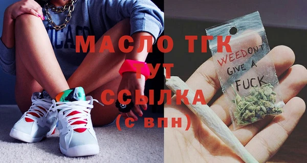 мдпв Вяземский