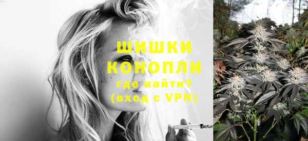мдпв Вяземский