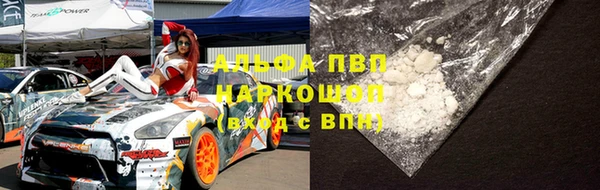 мдпв Вяземский