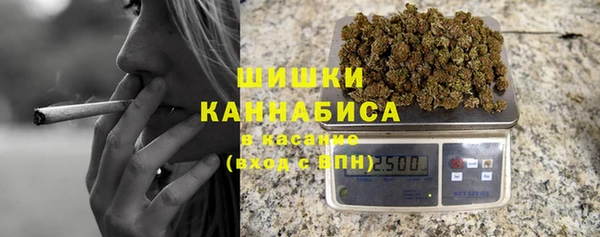 мдпв Вяземский