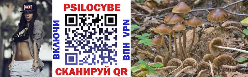Псилоцибиновые грибы прущие грибы  Людиново 